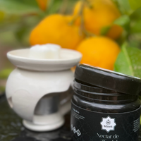 Parfums solides fondants