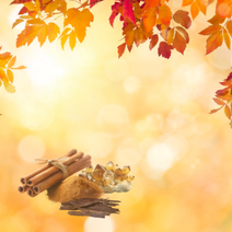 Soleil d'Automne