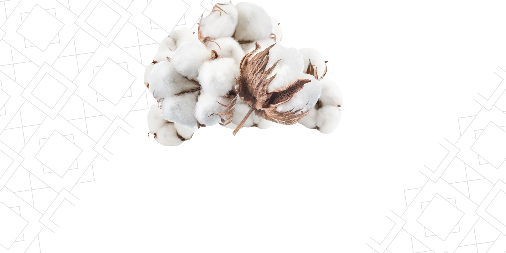 Nuage Blanc (Coton)